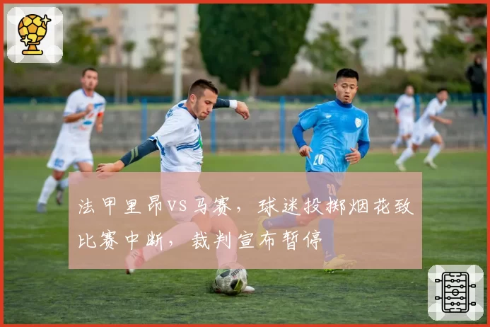 法甲里昂vs马赛,球迷投掷烟花致比赛中断,裁判宣布暂停