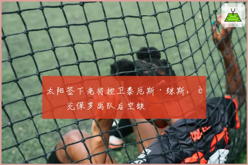 太阳签下老将控卫泰厄斯·琼斯，补充保罗离队后空缺